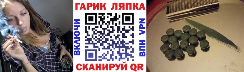 ГАШ Изолятор  Гвардейск 