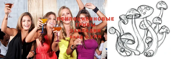 бошки Алексеевка