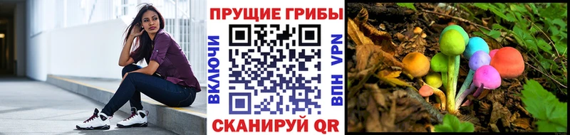 Галлюциногенные грибы прущие грибы Гвардейск